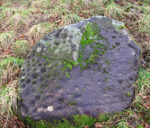 Kincairney (Cup Marked Stone) by tiompan