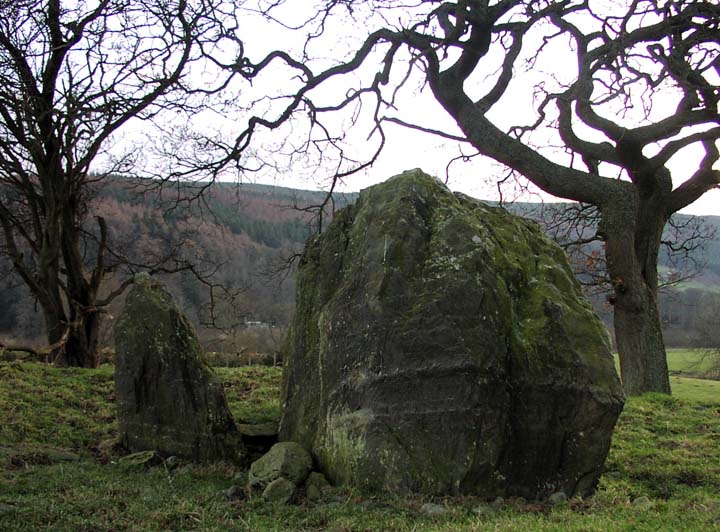 Branas Uchaf (Chambered Tomb) by treaclechops