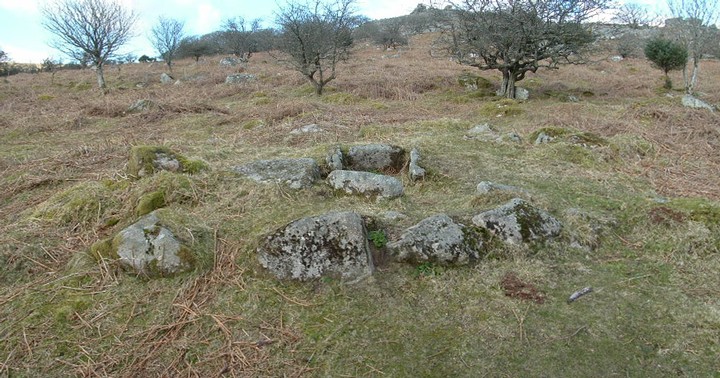 Leather Tor South (Cist) by doug