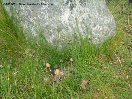 Ceann Hulavig (Stone Circle) by Kammer