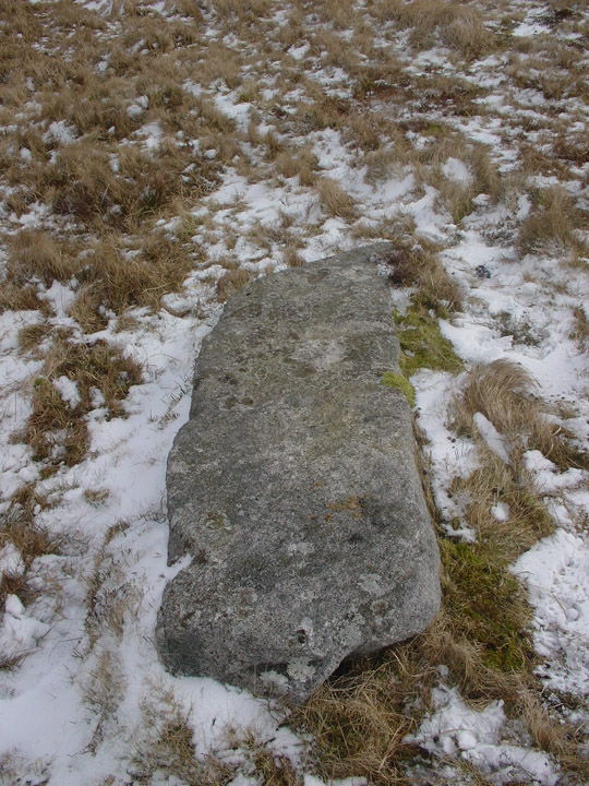 Cut Hill (Stone Row / Alignment) by Erik the Red