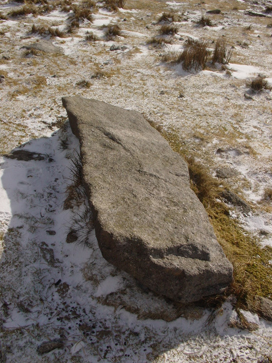 Cut Hill (Stone Row / Alignment) by Erik the Red