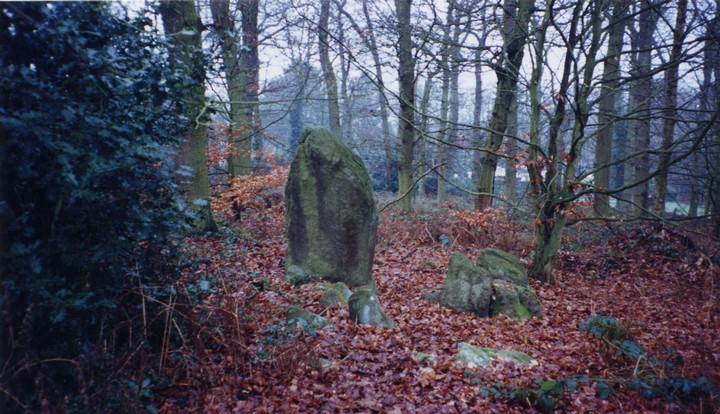 Bradgate Stone & Ring (Standing Stone / Menhir) by fleckers