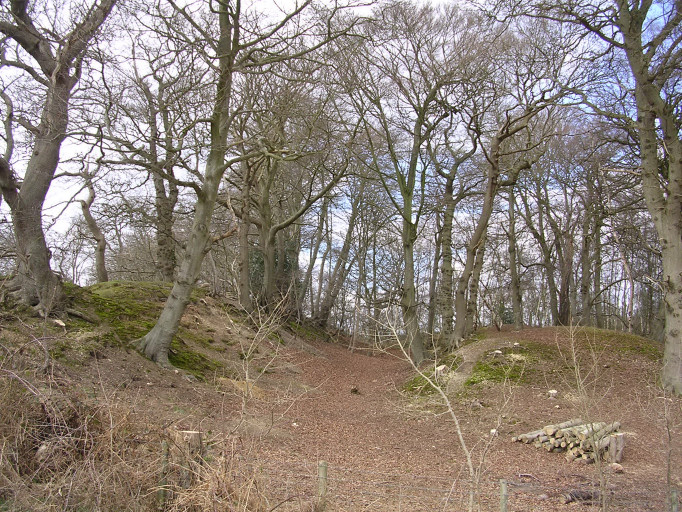 Buckland Rings (Hillfort) by TreeHouse