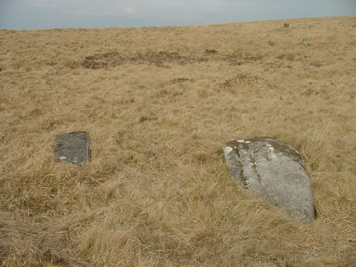 Buttern Hill Stone Circle (Stone Circle) by Erik the Red