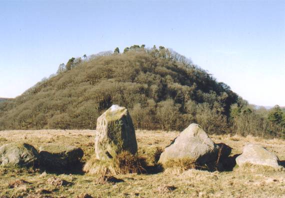 Dumgoyach Stones (Stone Row / Alignment) by follow that cow