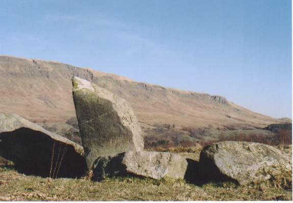 Dumgoyach Stones (Stone Row / Alignment) by follow that cow