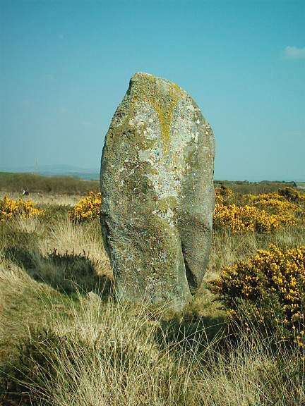Rhos y Clegyrn (Standing Stone / Menhir) by Lotty