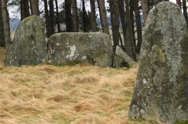 Tomnagorn (Stone Circle) by greywether