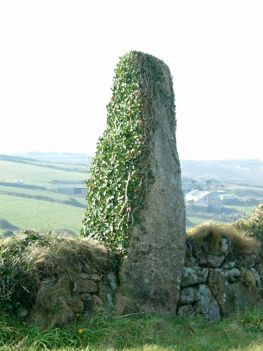Wheal Buller Menhir (Standing Stone / Menhir) by Mr Hamhead
