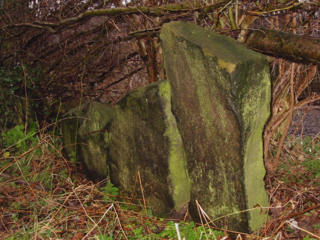 Darley Dale (Ancient Trackway) by stubob