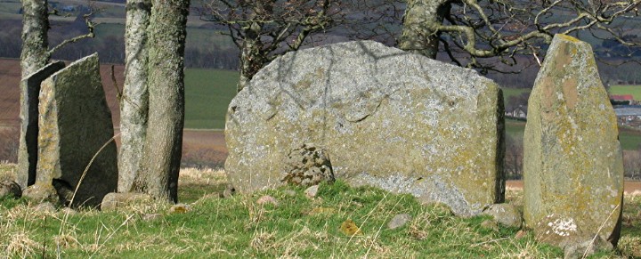 Dunnydeer Farm (Stone Circle) by greywether