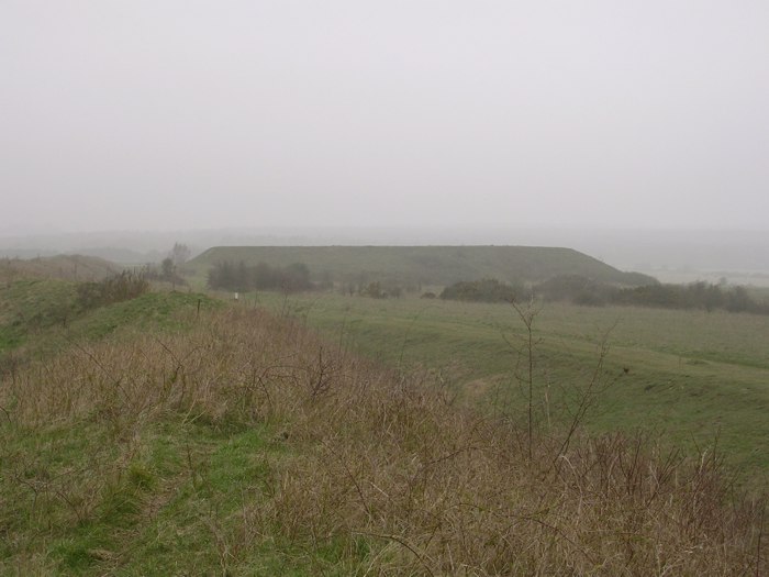 Dorset Cursus (North to Martins Down) by TreeHouse
