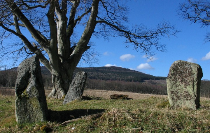 Deer Park (Stone Circle) by greywether