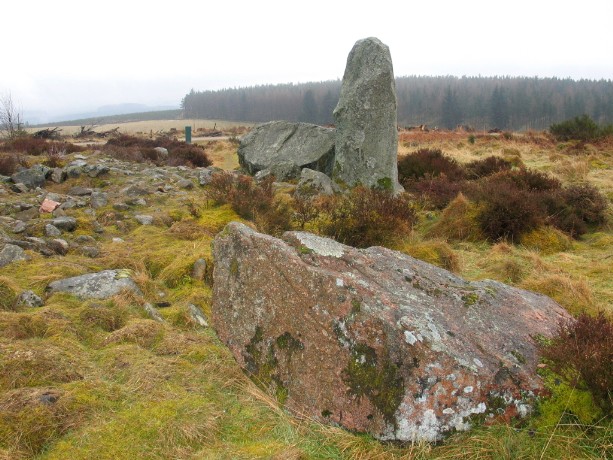 Whitehills (Stone Circle) by greywether