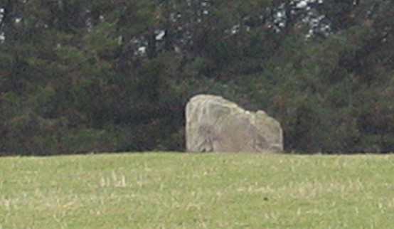 Crofts of Shielburn (Standing Stone / Menhir) by greywether