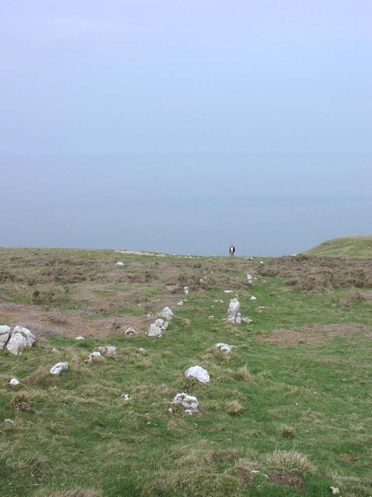 Hwylfa'r Ceirw (Stone Row / Alignment) by treaclechops