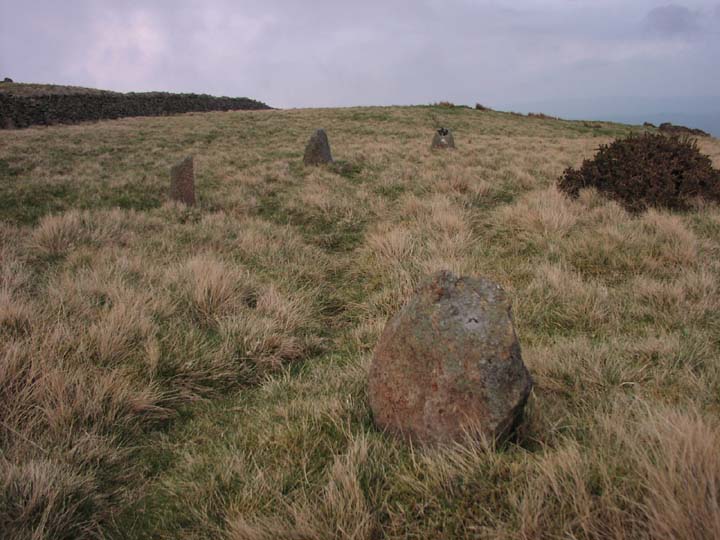 Cerrig Pryfaid (Stone Circle) by treaclechops