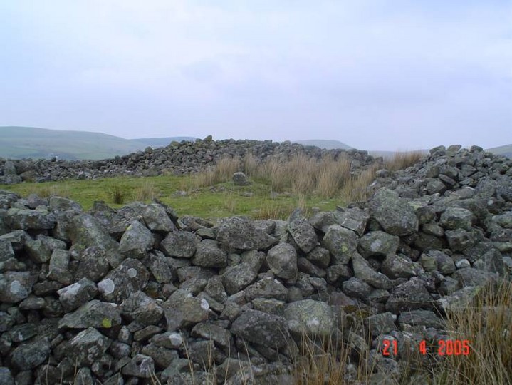 Tongue How (Ancient Village / Settlement / Misc. Earthwork) by treehugger-uk