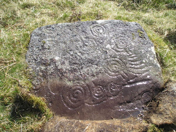 Braes of Balloch (Cup and Ring Marks / Rock Art) by tiompan