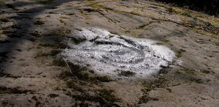 Whitehill (Cup and Ring Marks / Rock Art) by greywether