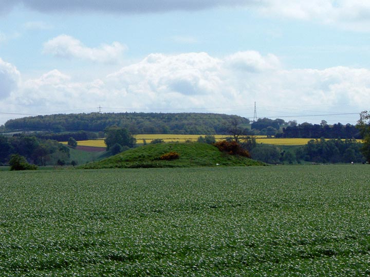 Twyford Henge (site of) and Round Hill (Round Barrow(s)) by stubob