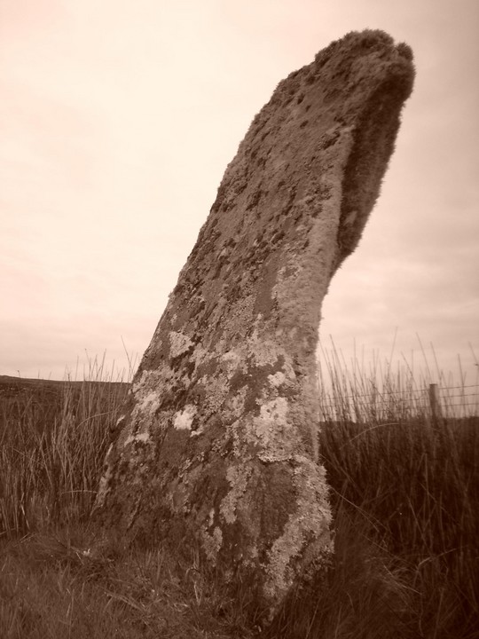 Ardalanish (Standing Stone / Menhir) by Sarcassy