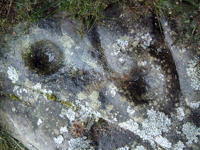Weetwood North (Cup and Ring Marks / Rock Art) by Hob