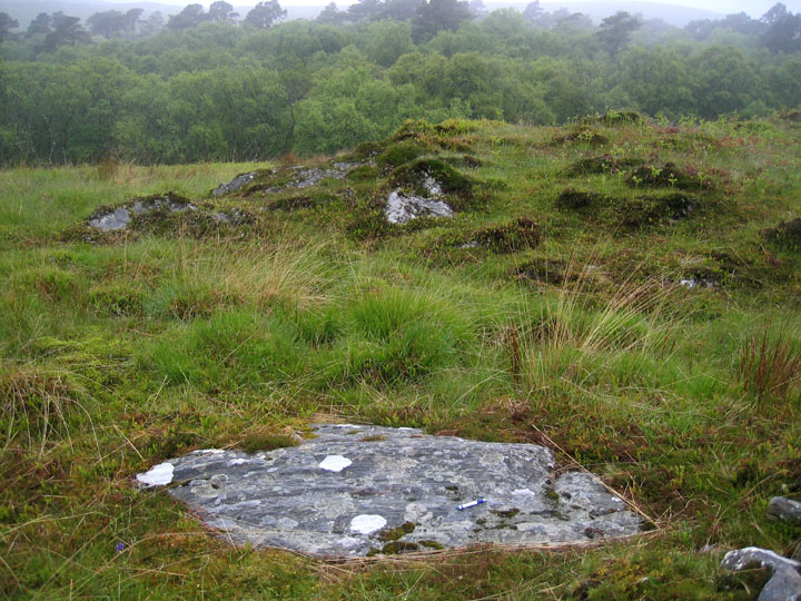 An Carn (Cup Marked Stone) by rockandy