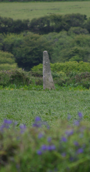 Try (Standing Stone / Menhir) by ocifant