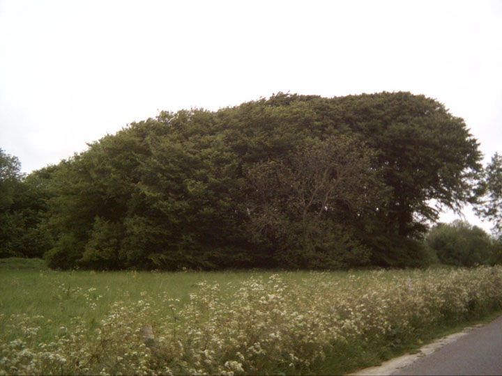 Culliford Tree Barrow (Long Barrow) by danielspaniel
