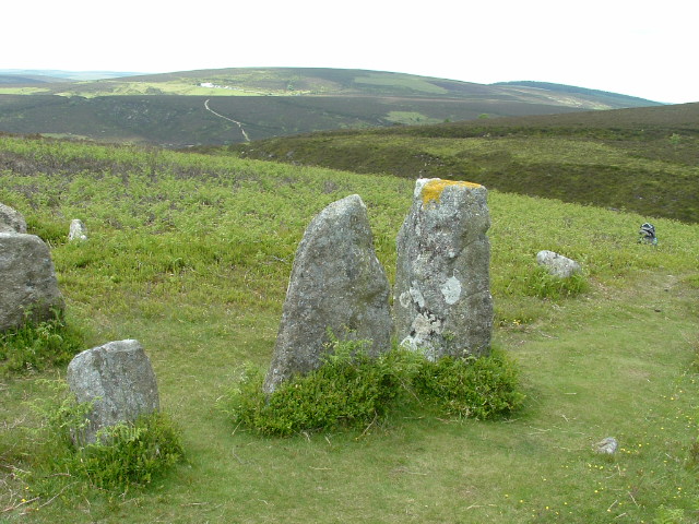 Challacombe (Multiple Stone Rows / Avenue) by doug