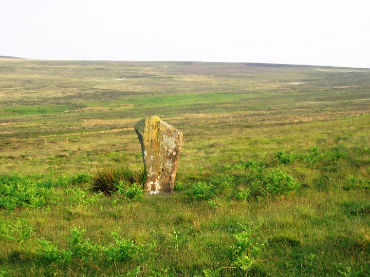 Glaisdale Swang Stones (Standing Stone / Menhir) by fitzcoraldo