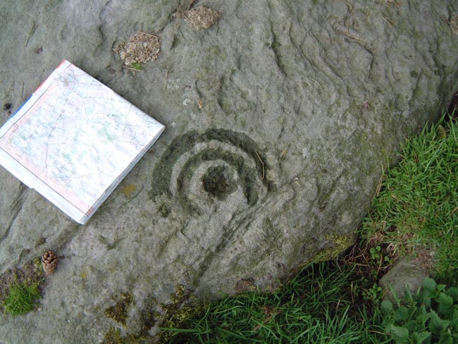 Weetwood 8 (Cup and Ring Marks / Rock Art) by Hob