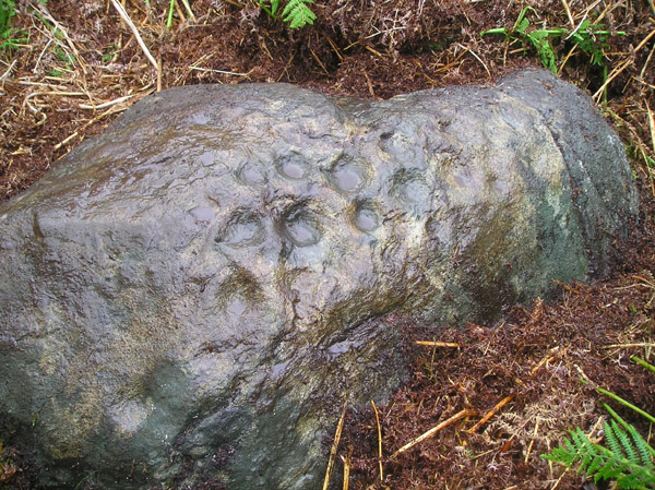 Druim Na Cille (Cup Marked Stone) by tiompan