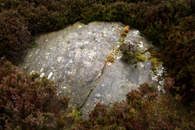 Millstone Burn (Cup and Ring Marks / Rock Art) by Hob