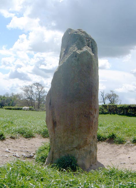 Newtown Mill (Standing Stone / Menhir) by Hob