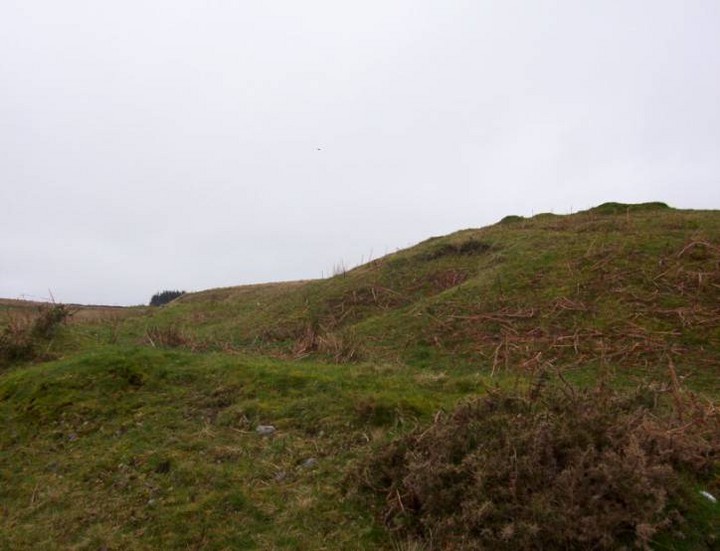 Friar Gill Tumulus (Round Barrow(s)) by treehugger-uk