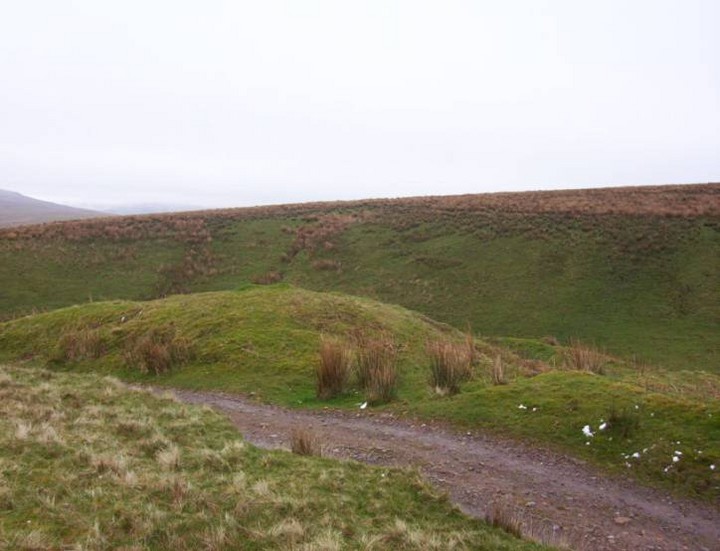 Friar Gill Tumulus (Round Barrow(s)) by treehugger-uk