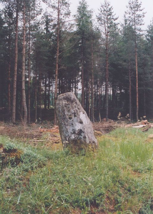 Wester Enochdhu (Standing Stone / Menhir) by BigSweetie