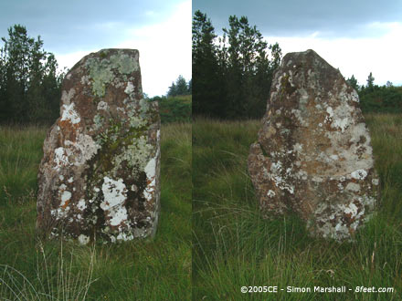 Dervaig A (Stone Row / Alignment) by Kammer