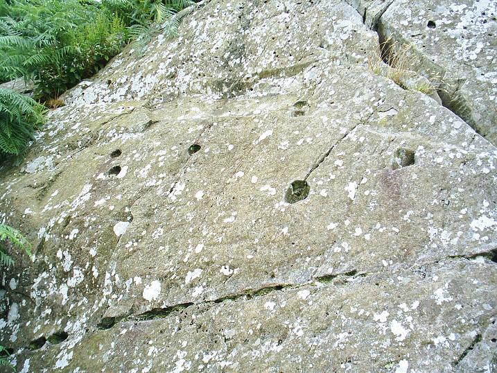 Copt Howe (Cup and Ring Marks / Rock Art) by The Eternal