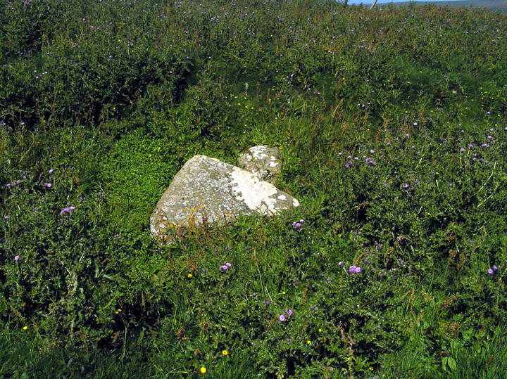 Knowe of Geoso (Chambered Cairn) by wideford