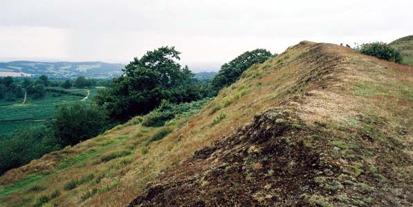 Midsummer Hill (Hillfort) by matt saze
