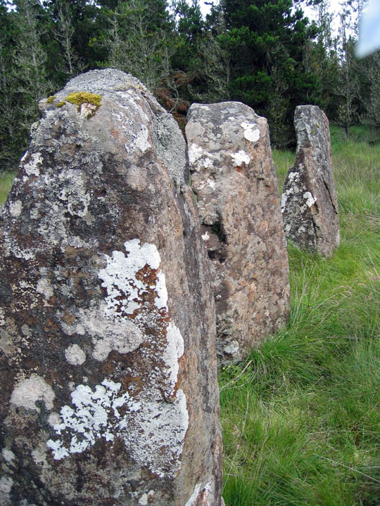 Dervaig A (Stone Row / Alignment) by rockandy