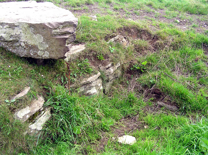 Lingrow (Chambered Tomb) by wideford