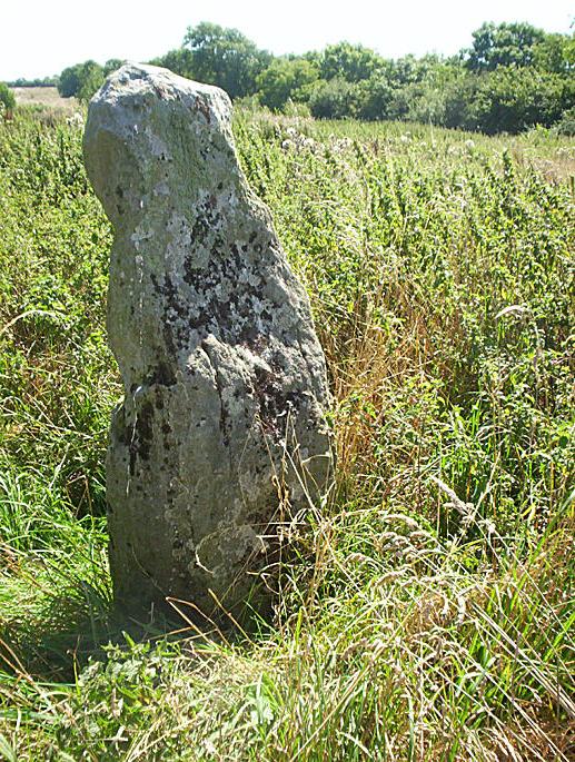 Cae'r-Hen-Eglwys (Standing Stones) by hamish