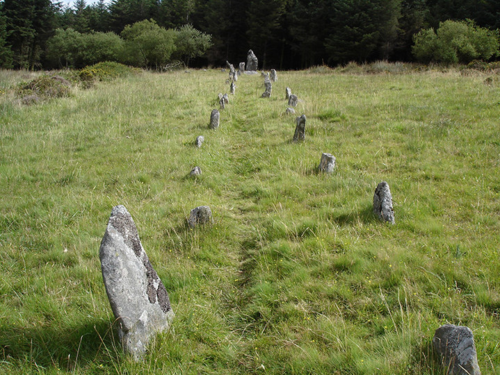 Assycombe Hill (Stone Row / Alignment) by Lubin