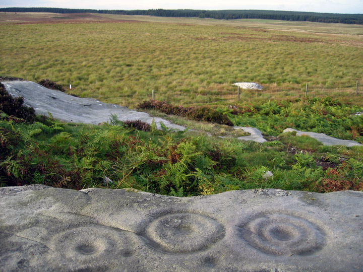Tod Crag, Ottercops Moss (Cup and Ring Marks / Rock Art) by rockandy