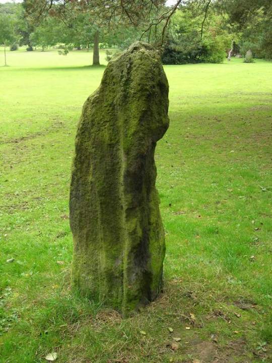 Witch's Stone (Standing Stone / Menhir) by Rosie